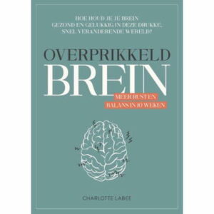 Overprikkeld Brein boek